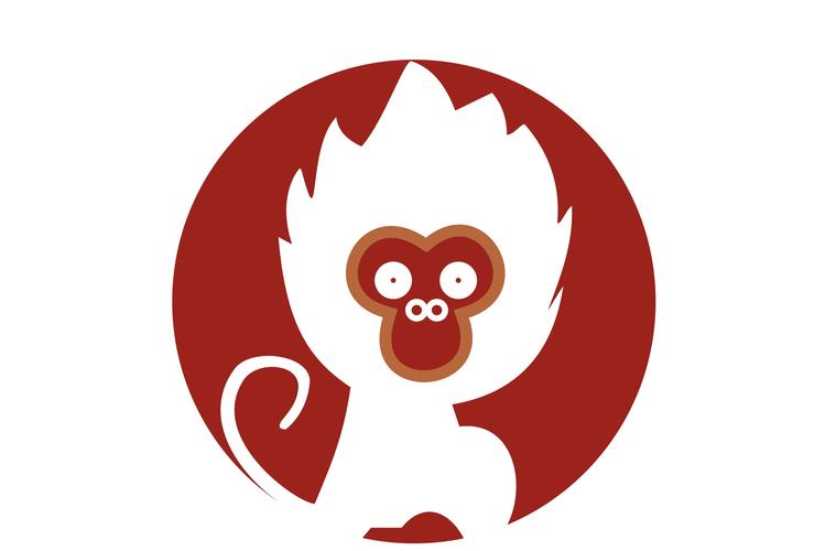 南猴短视频v1.0