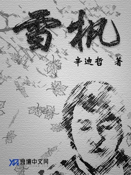 雪枫小说缩略图