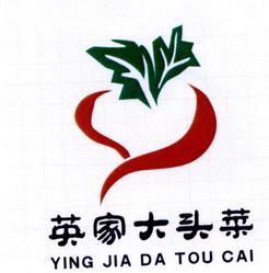 大头菜农场最新版