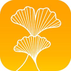 银杏网app安卓版