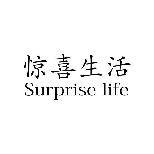 惊喜生活