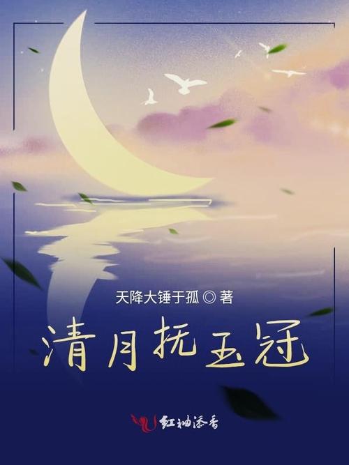 清月小说v4.4