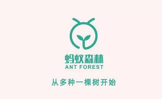 蚂蚁森林赚钱版