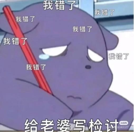 老婆我再也不敢了