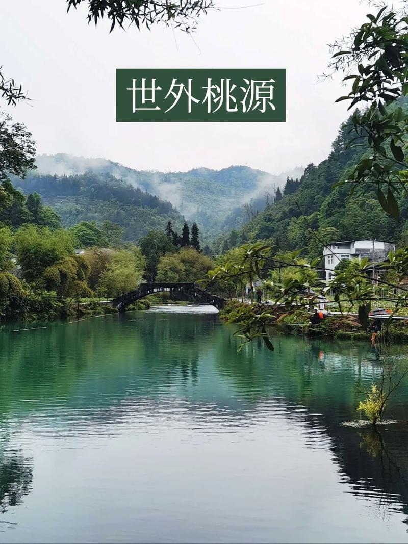 世外桃源安卓手机版缩略图