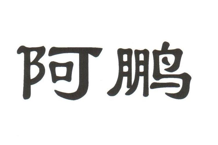 阿鹏激活码