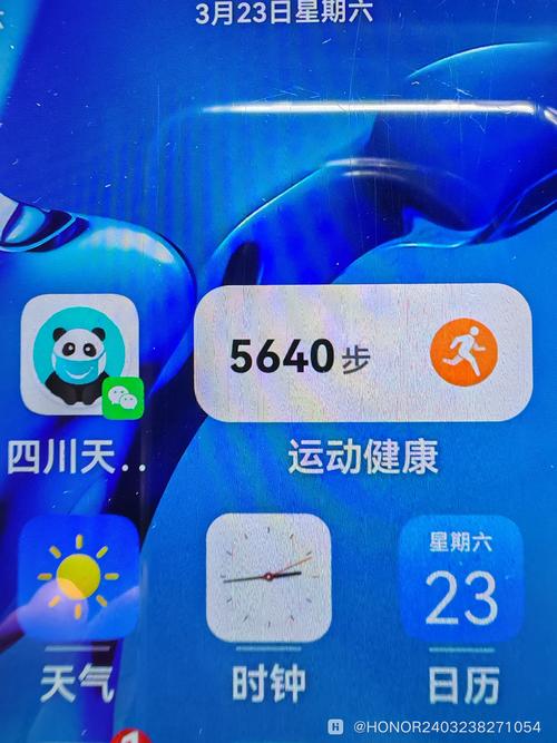荣耀步数