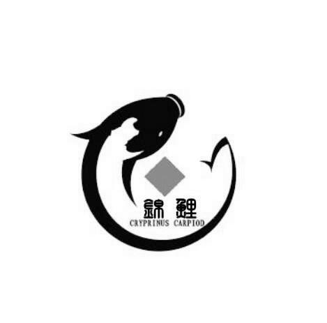 锦鲤充电