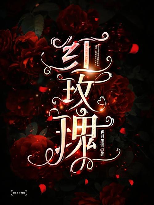 玫瑰小说网手机版