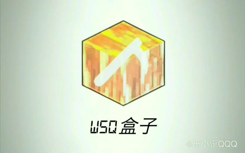 我的世界wsq盒子