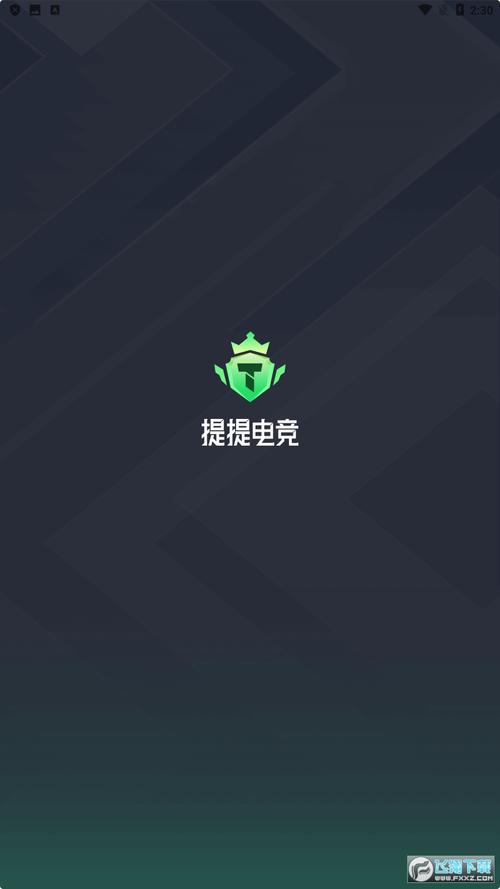 提提电竞官网版