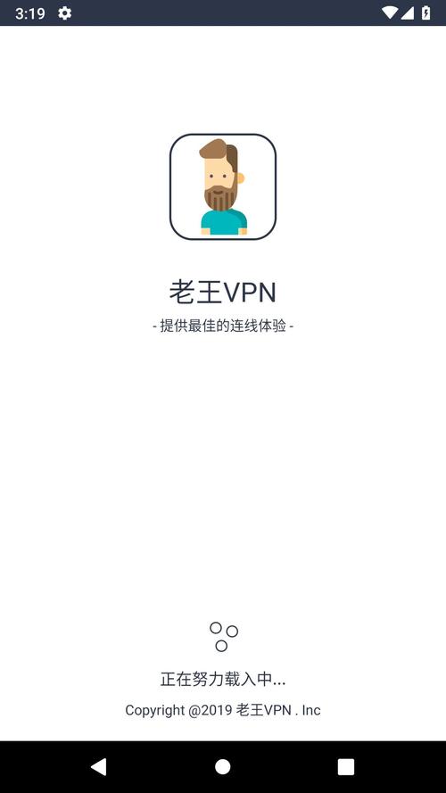 老王vp加速器官网版图标