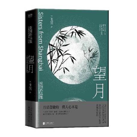 望月小说