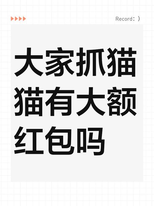 一起来抓猫红包版
