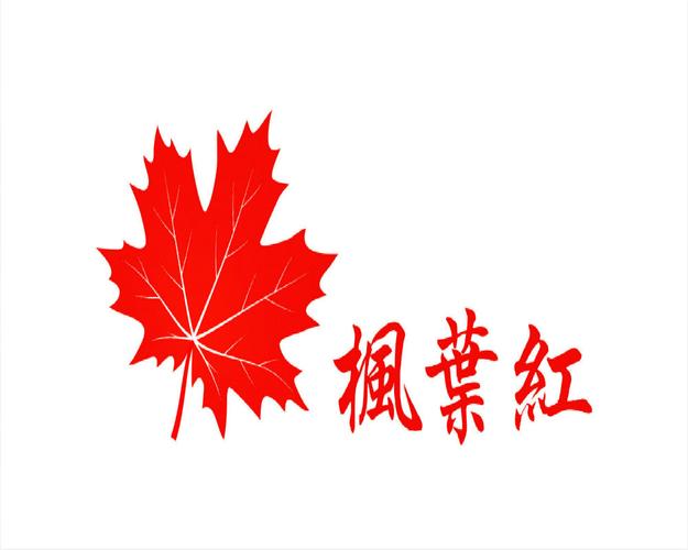 枫叶社工