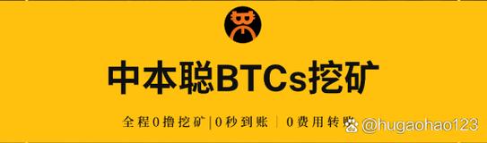 中本聪btcs官方版