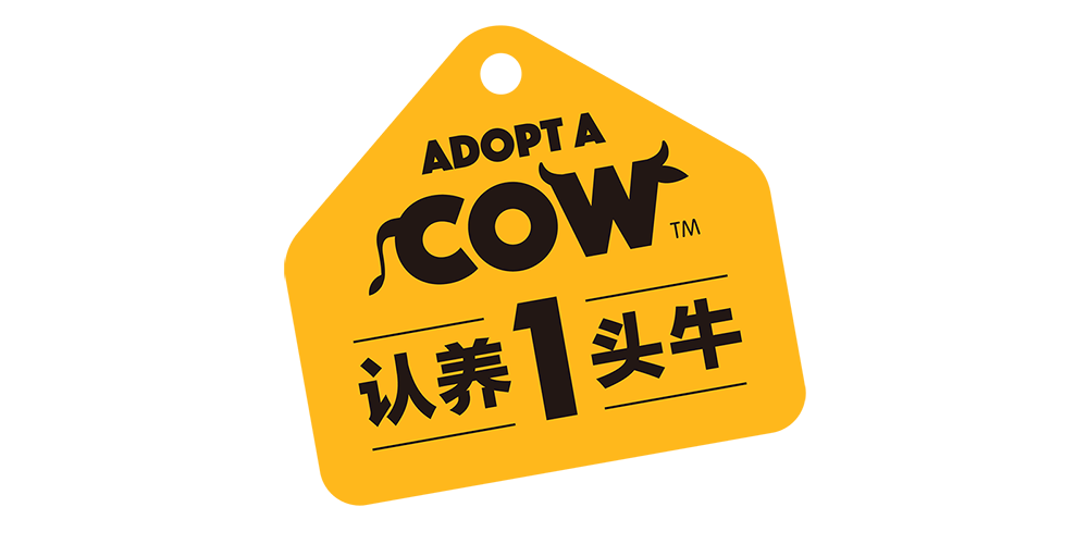 头牛网