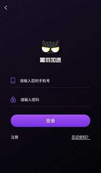 黑豹加速器
