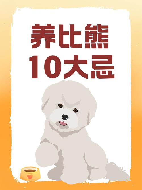 比熊漫画破解免广告