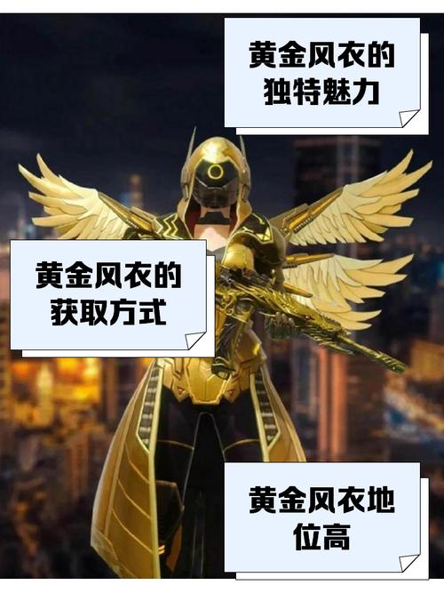 黄金精英