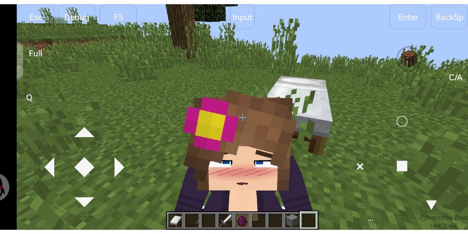 我的世界JAVA珍妮模组(JENNY MOD)截图