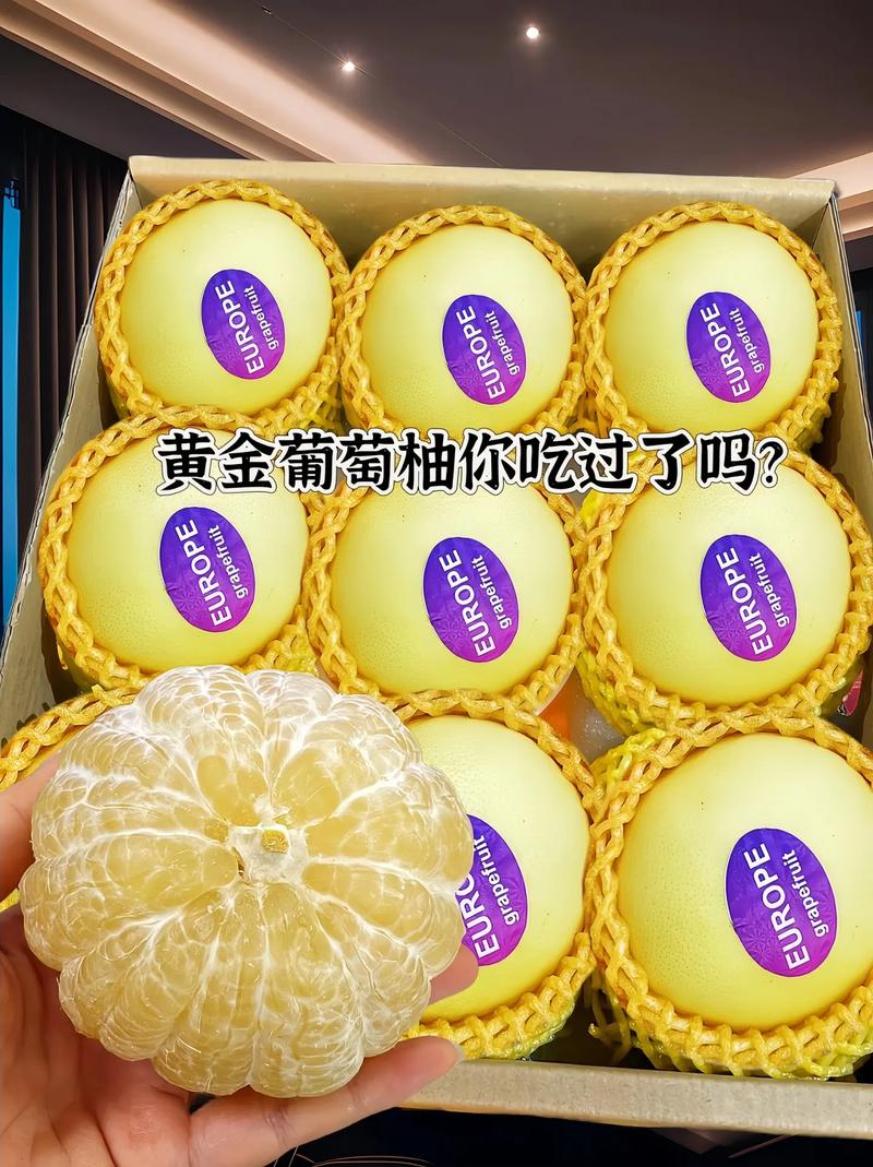 葡柚短视频v1.0.0