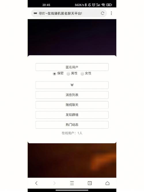 匿名聊天deskry官网版图标