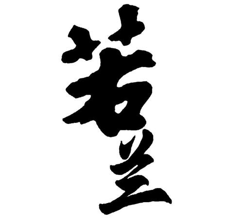 若兰阅读