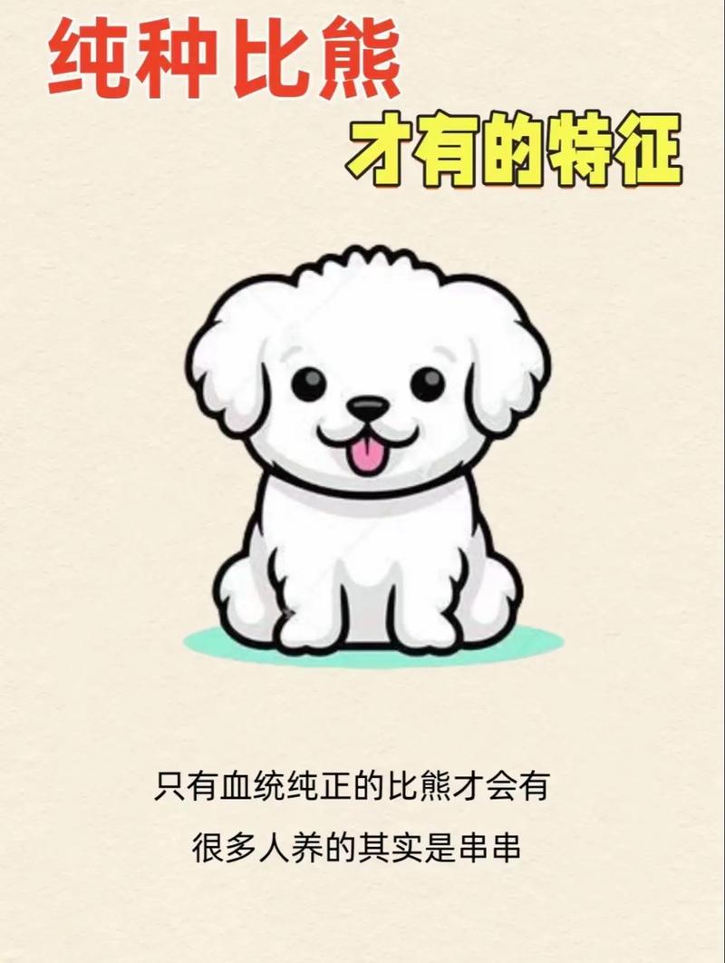 比熊漫画2.3.4