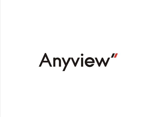 anyview官网版游戏截图