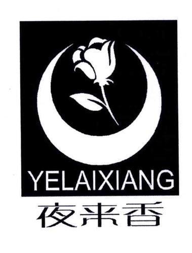 夜来香最新版