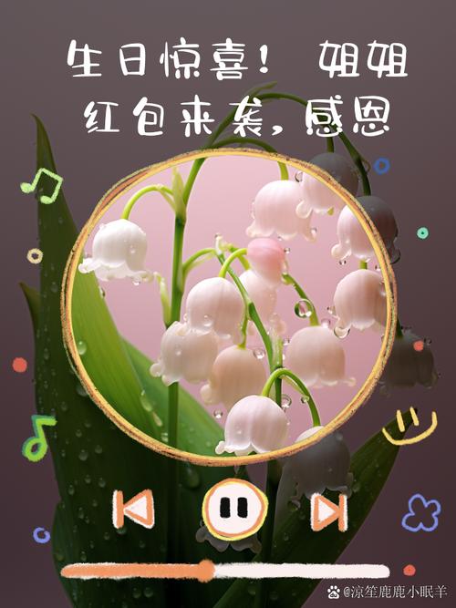 姐姐来了红包版截图