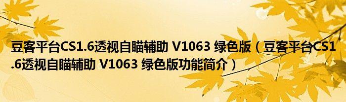 自瞄透视辅助器中文字幕