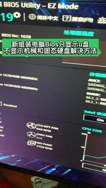 第一主板o1bz永久有效地址在哪里手机版