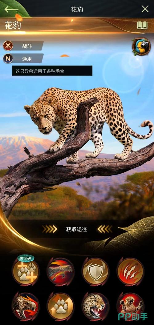 花豹影视