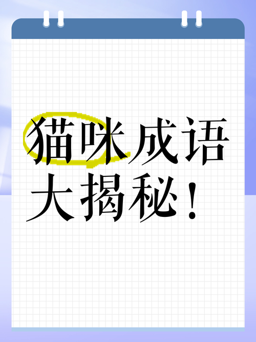 猫咪猜成语