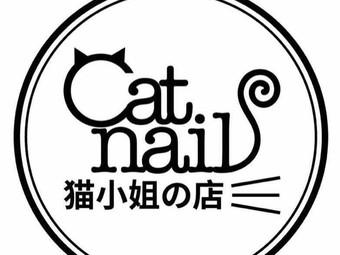 猫小姐