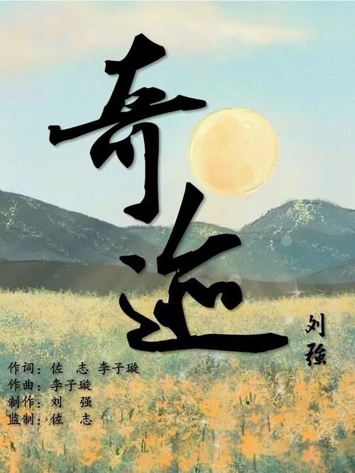 奇迹小说官网版缩略图