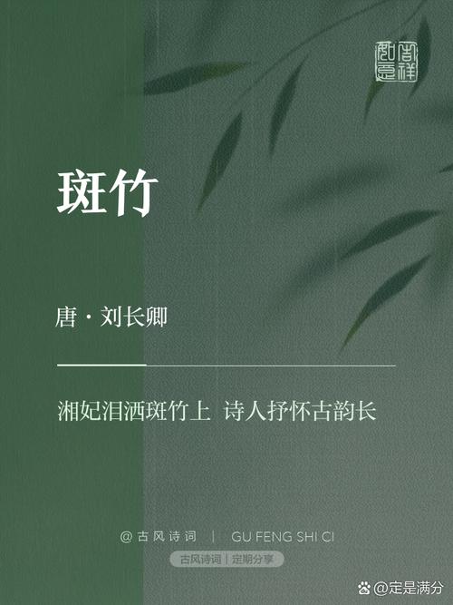 斑竹小说最新版