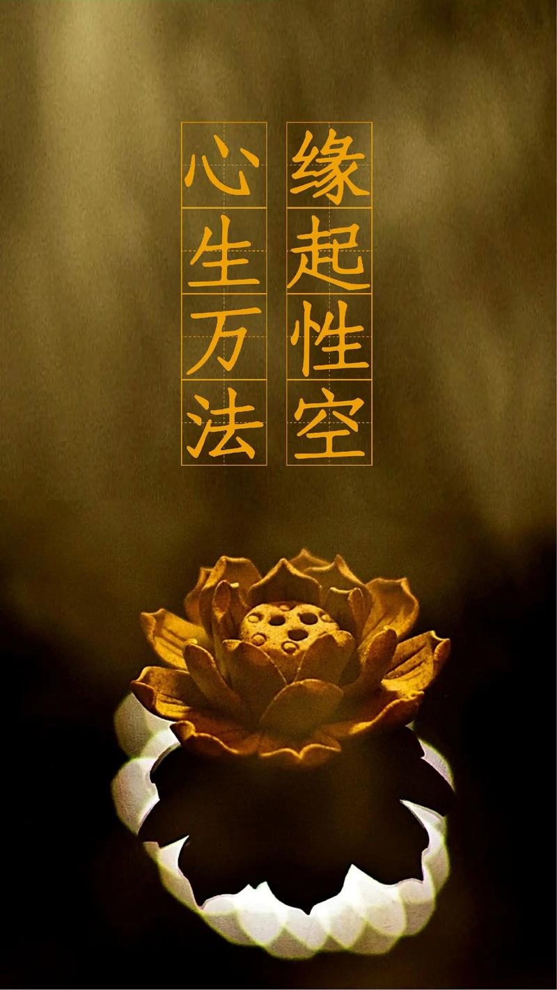 缘起app安卓版