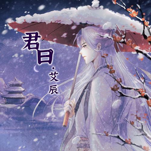 艾辰画质大师
