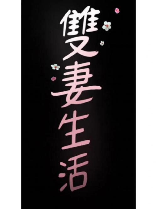 家有双妻漫画