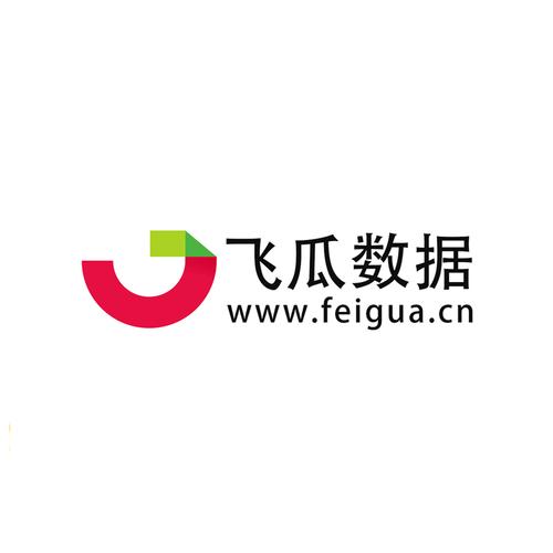 飞瓜播放器