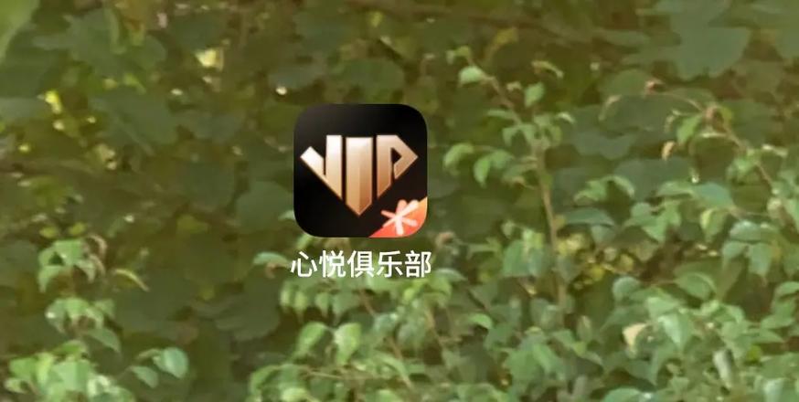 心悦科技平台赚钱