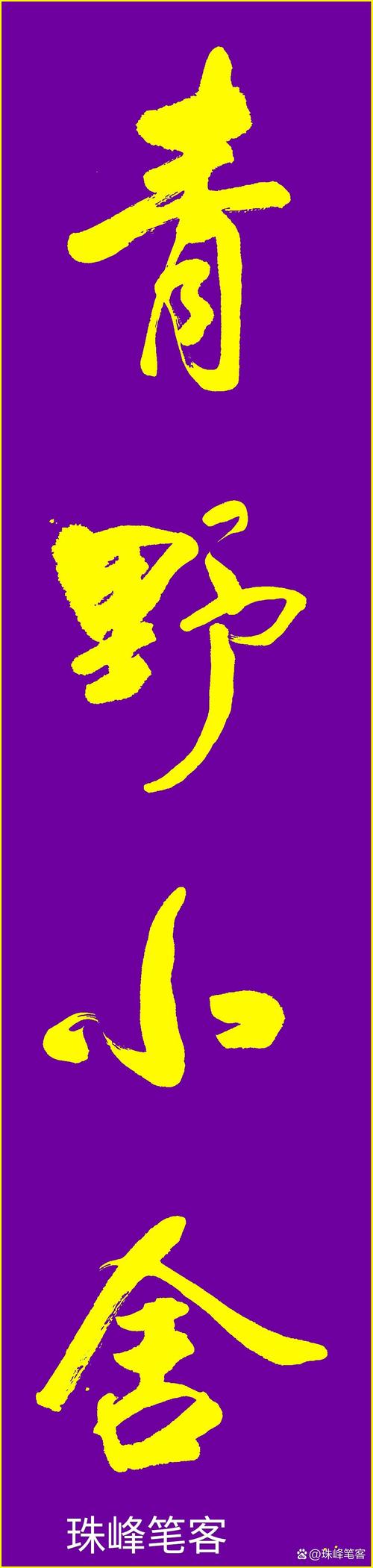 ​走野小说