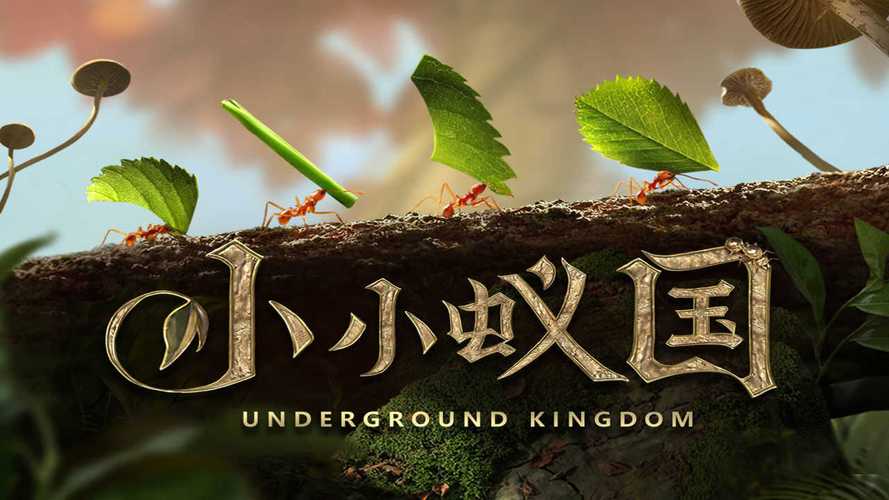 小小蚁国辅助脚本