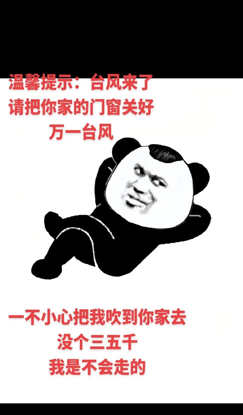 台风下的上海社畜表情包图片