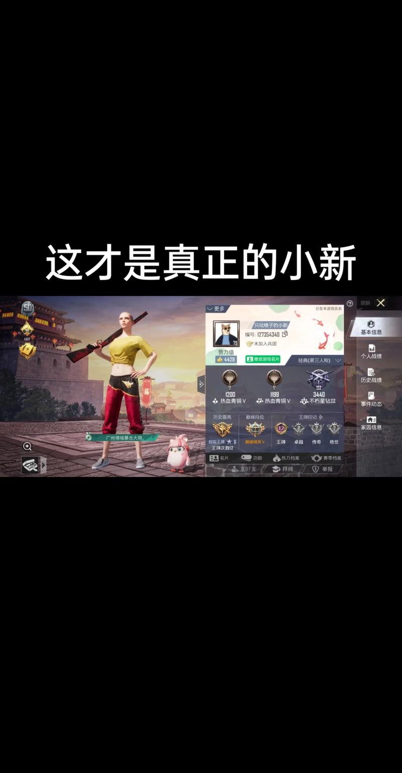 小新吃鸡画质大师