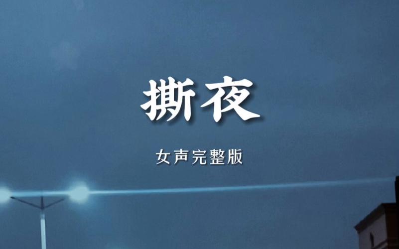 撕夜app官网版