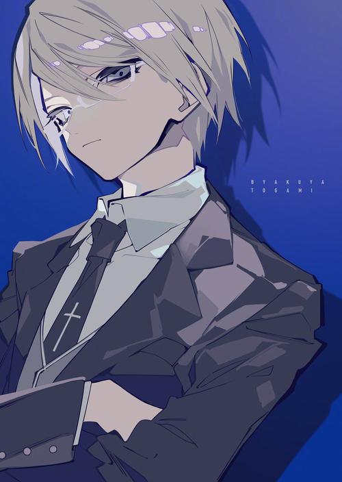 白夜次元acg手机版